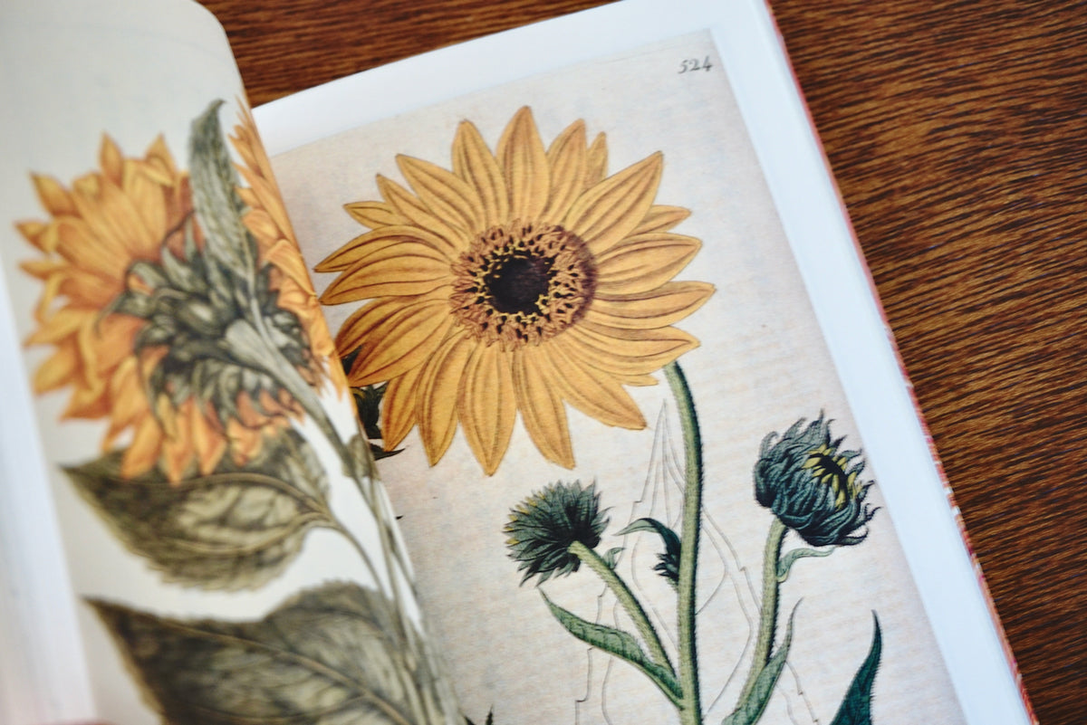 DSC00671_1200x1200.jpg?v=