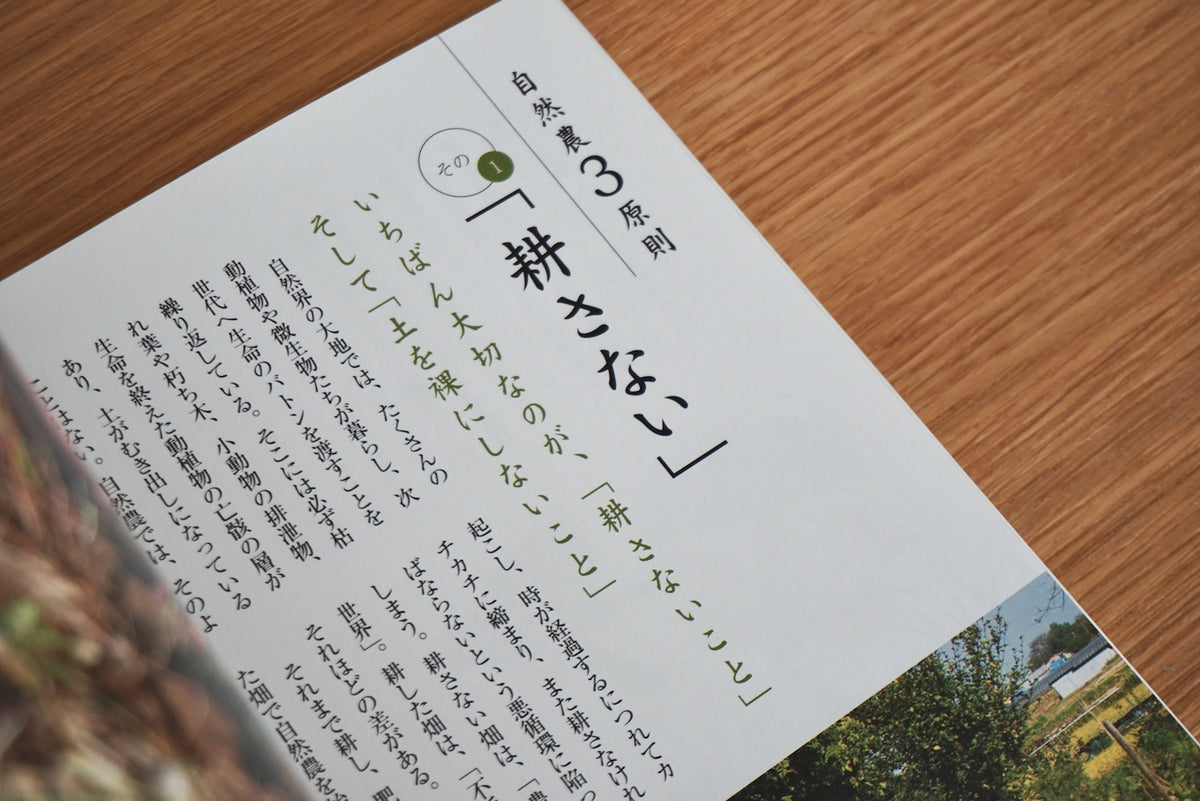 DSC01443_1200x1200.jpg?v=