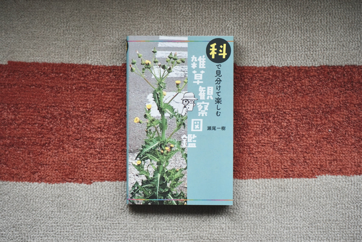 科で見分けて楽しむ 雑草観察図鑑 / 著者・瀬尾一樹 / 山と渓谷社