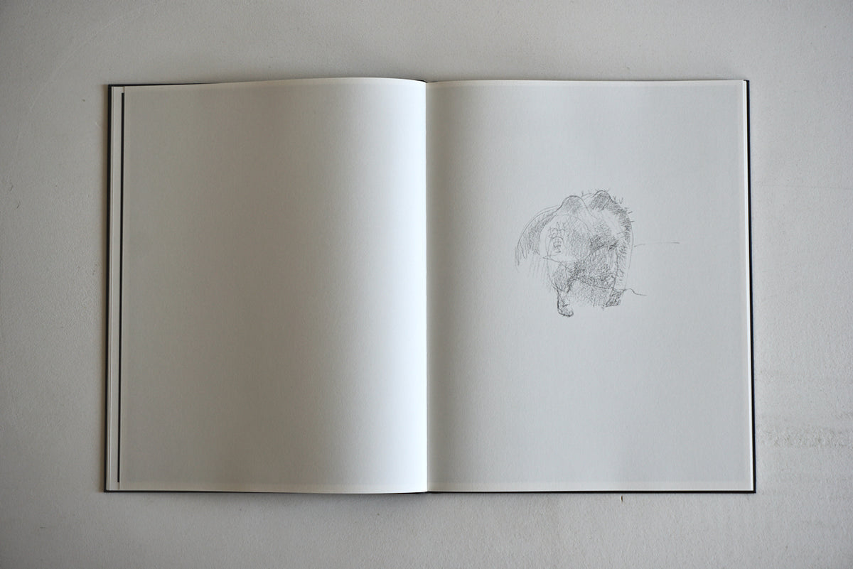 CharlotteDumas / Entendue / tace / art book / アートブック – 面影