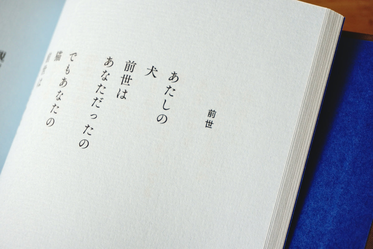 あたしとあなた / 著者・谷川俊太郎 / ナナロク社 – 面影 book&craft