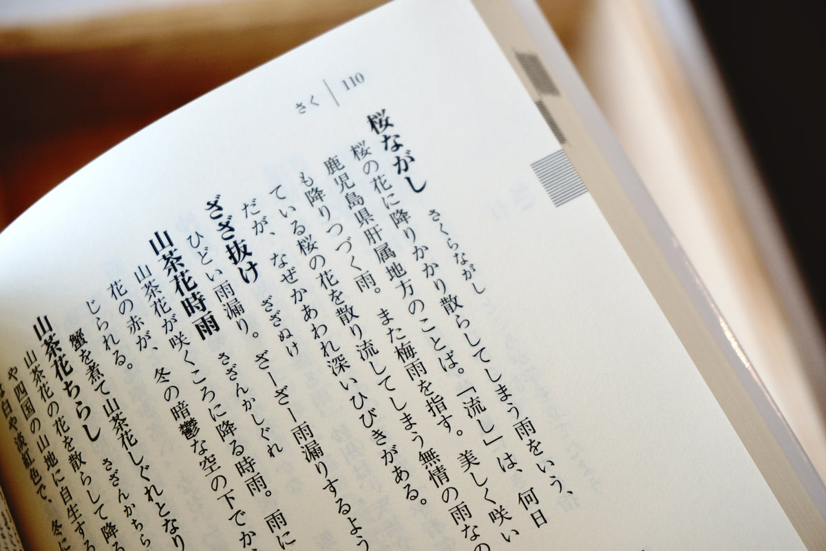 雨のことば辞典 / 著者（編者）・倉嶋 厚、原田 稔 / 講談社学術文庫