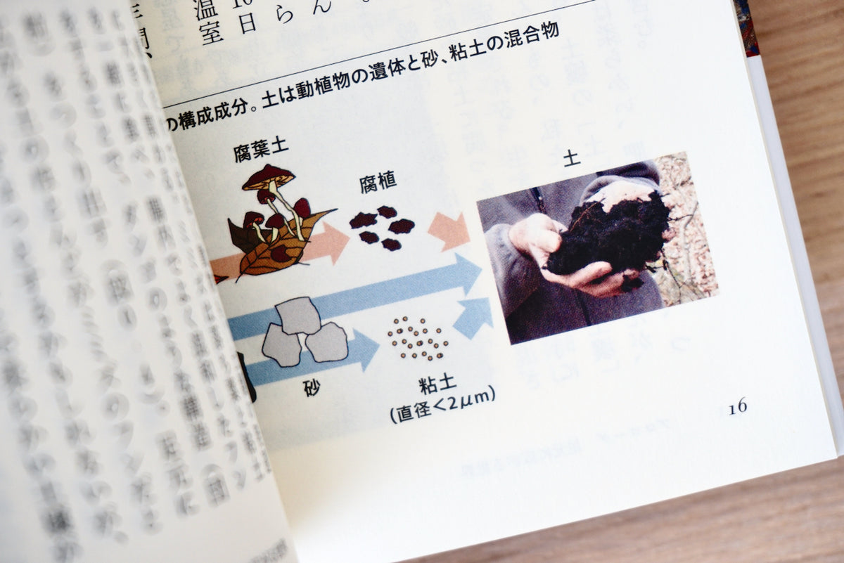 大地の五億年 せめぎあう土と生き物たち – 面影 book&craft