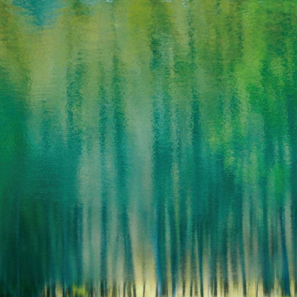 ことばの記憶：vol.9 三項関係