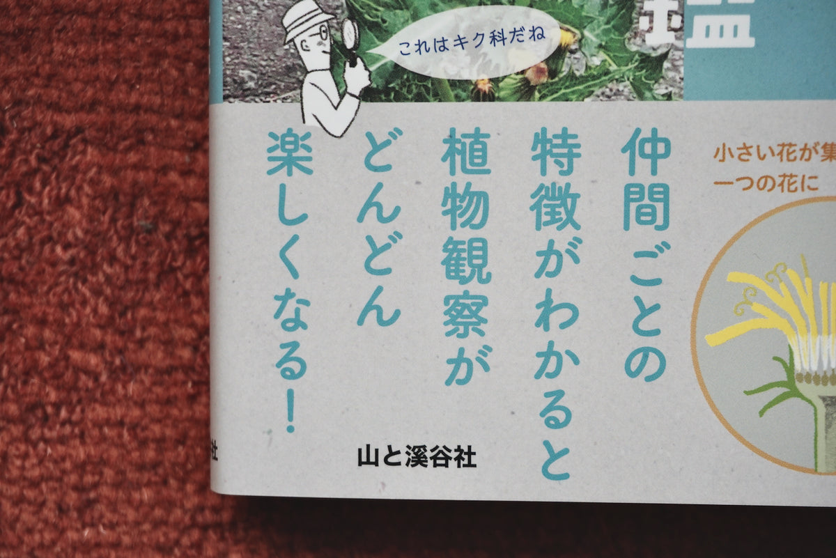 科で見分けて楽しむ 雑草観察図鑑 / 著者・瀬尾一樹 / 山と渓谷社