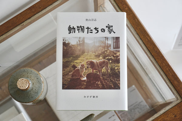 DSC09558_grande.jpg?v=1734063706