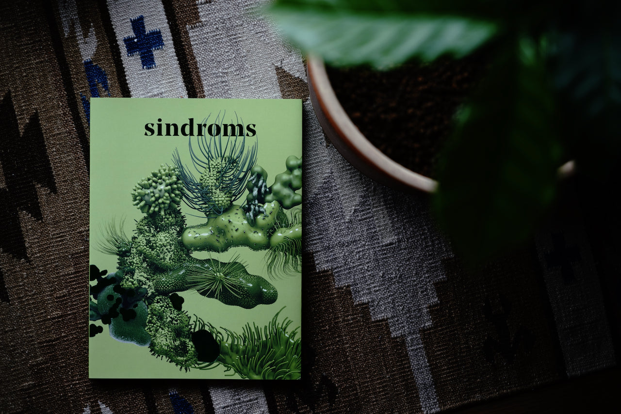 sindroms / Issue #5: Evergreen Sindrom